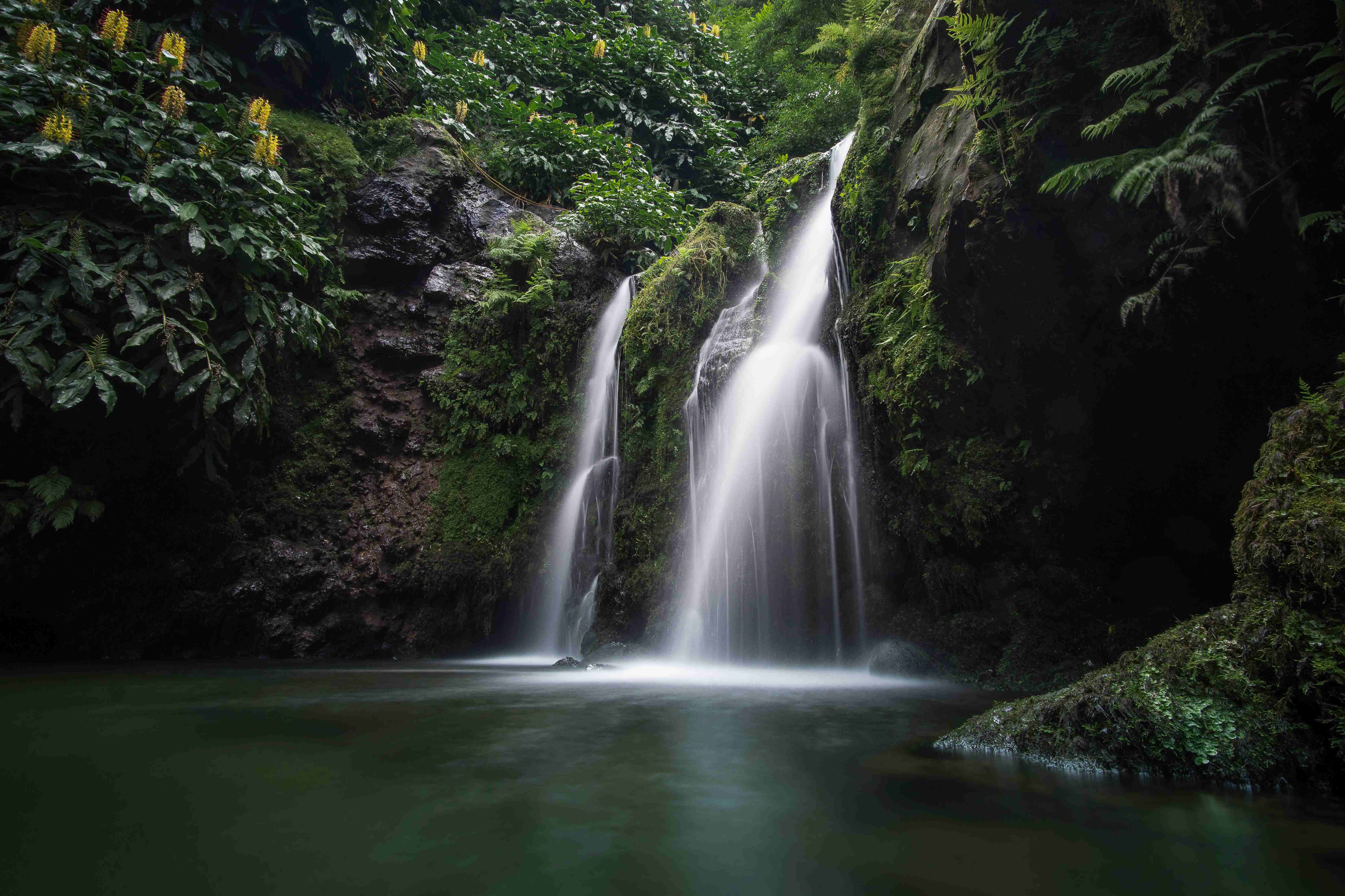 Cascade se jetant dans un bassin d’eau verte au cœur d’une végétation luxuriante